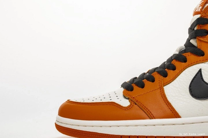 Shattered Reteo OG Jordan Air Reverse Backboard 555088-113 1 0109